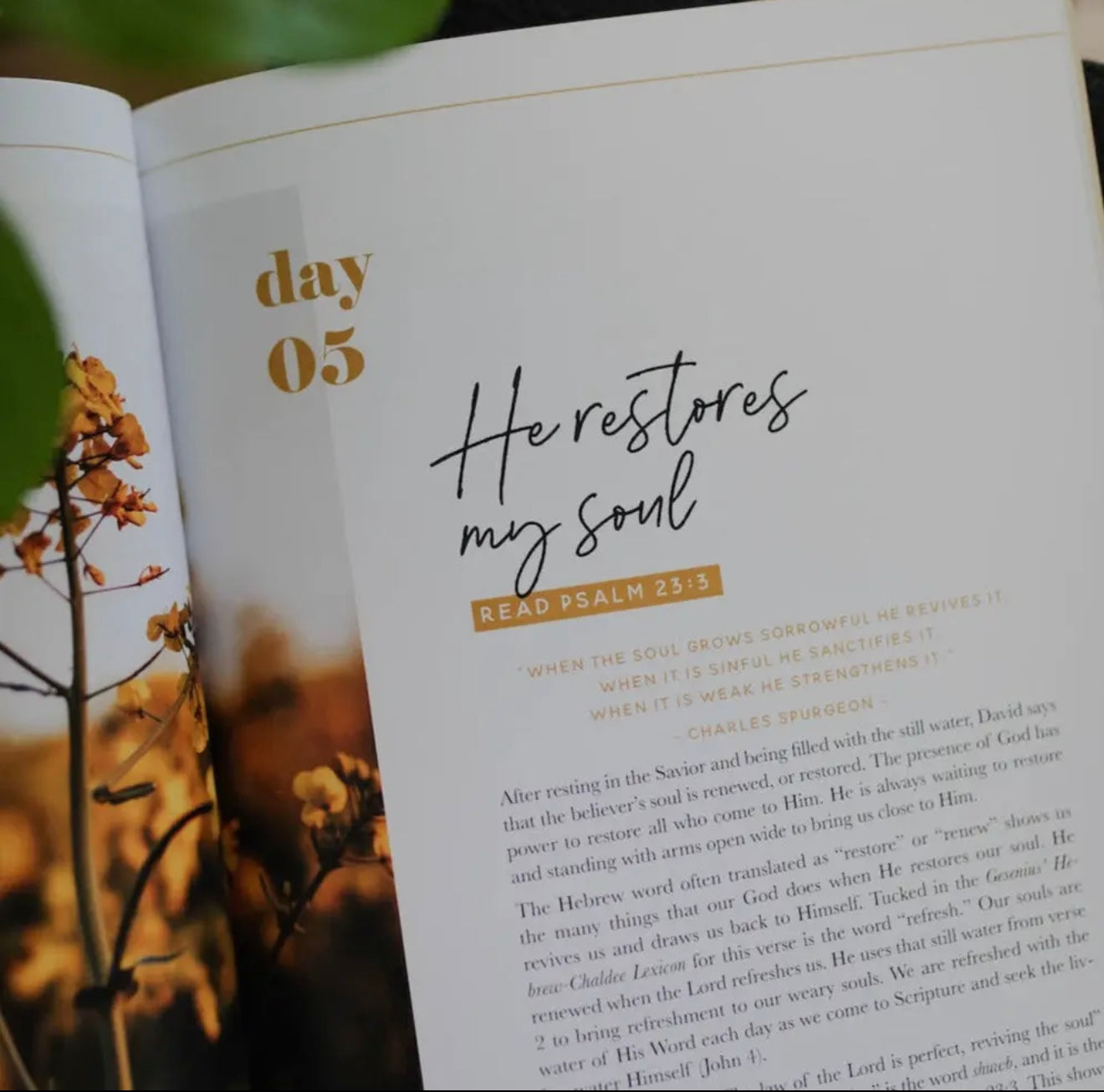 He Leads Me Devotional